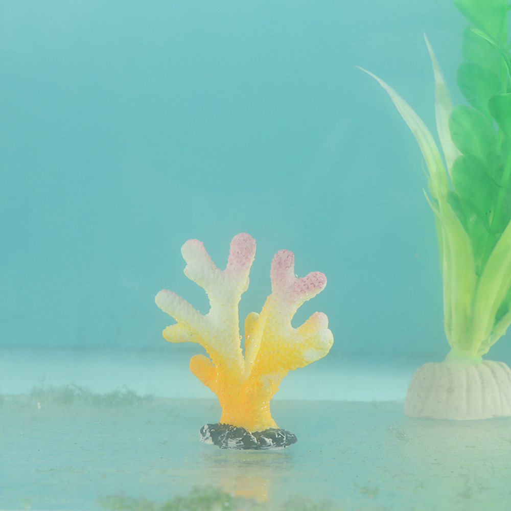 樹脂製の人工水族館の装飾,魚,魚,魚,葉,岩,水族館の装飾, - Home Decor Ikea のレビューと価格