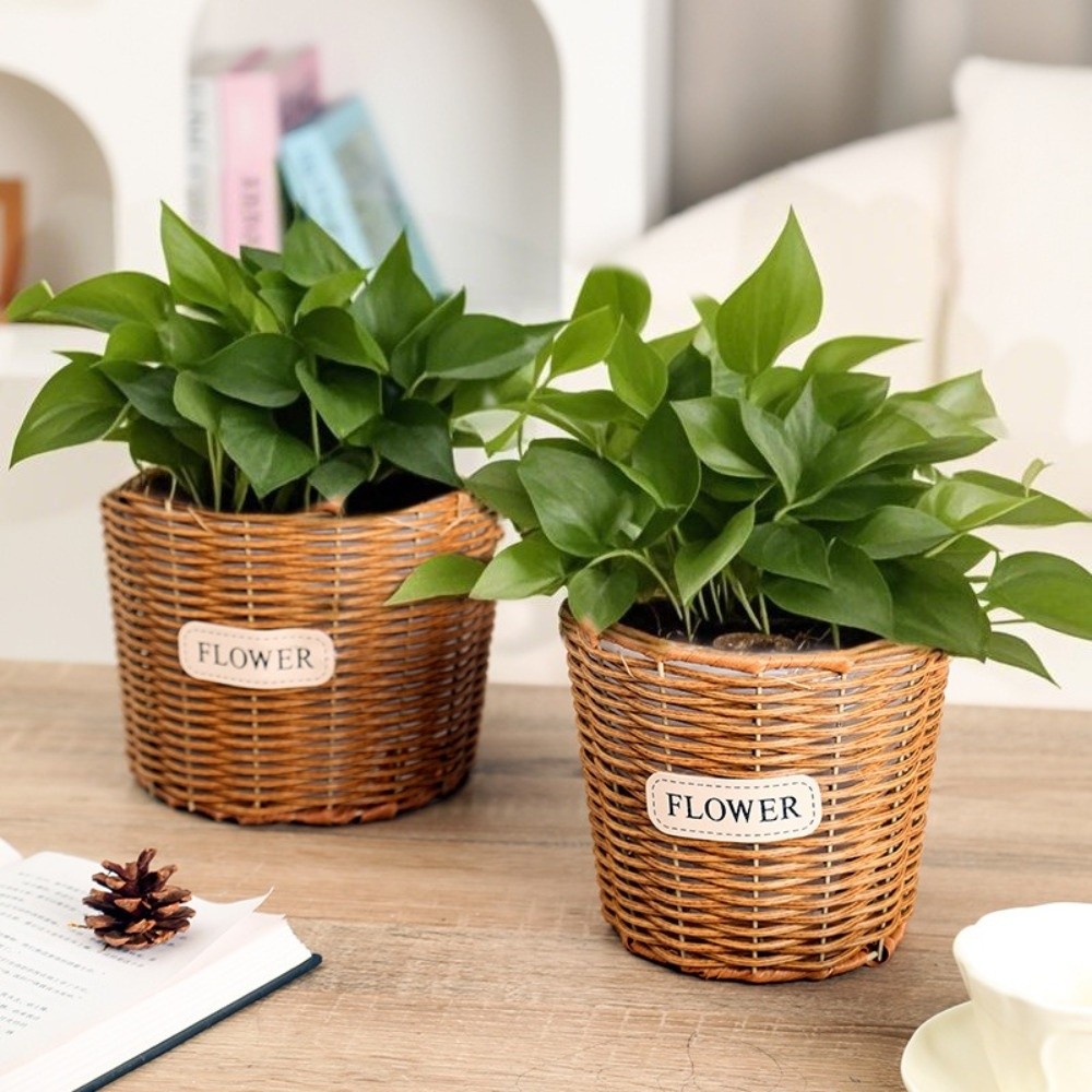 装飾用卓上模造ラタンバスケット プラスチック製編み込み植木鉢 - Rattan Plant Basket のレビューと価格
